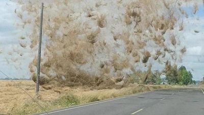 Image for story: What the hay? Watch as massive dust devil pelts pickup truck in Oregon