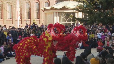 Image for story: Lunar New Year celebration at Smithsonian Asian Art museum