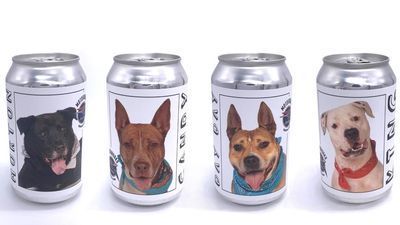 Image for story: Woman spots lost dog on viral Florida beer can promoting shelter dogs