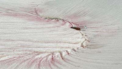 Image for story: 'Watermelon snow' turning Utah mountains pink and red