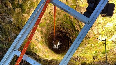 Image for story: Dog rescued from abandoned well after falling 30 feet