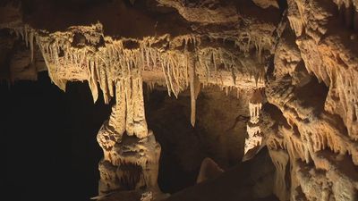 Image for story: San Antonio's Natural Bridge Caverns to host first-ever underground live concert in newly discovered "ballroom"