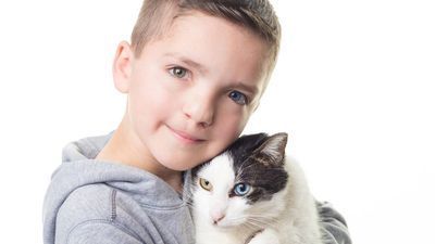 Image for story: Bullied boy adopts cat with same rare eye condition and cleft lip