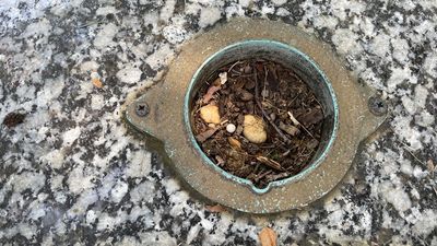 Image for story: Bronze vases vanishing from gravesites at historic Maryland cemetery