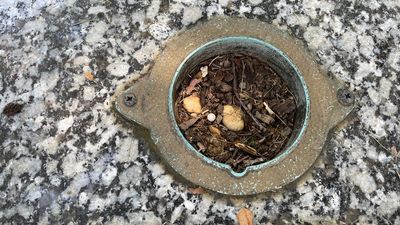 Image for story: Bronze vases vanishing from gravesites at historic Maryland cemetery