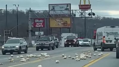 Image for story: Poultry pile-up caught on video: Dozens of chickens spill onto Chattanooga street