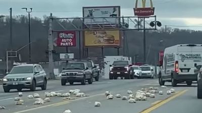 Image for story: Poultry pile-up caught on video: Dozens of chickens spill onto Chattanooga street