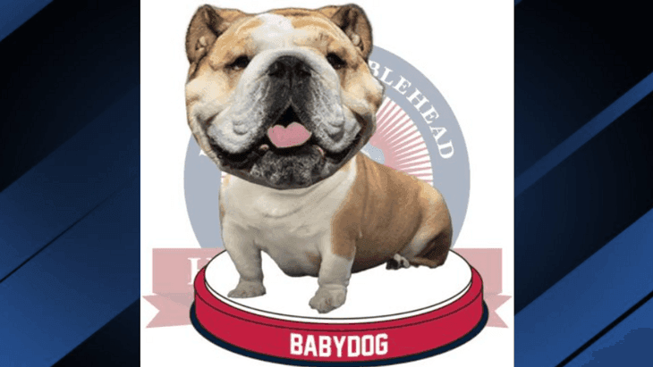 Image for story: Babydog bobbleheads unveiled after Republican National Convention appearance