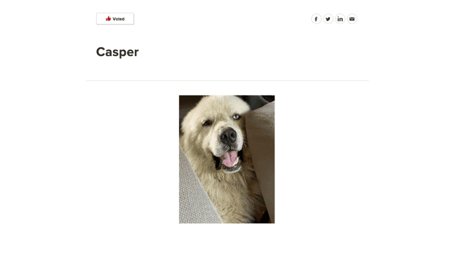 Casper the Great Pyrenees nominated for  People's Choice Pup winner of the American Farm Bureau Federation's (AFBF) Farm Dog of the Year competition (AFBF){&nbsp;}