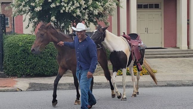 Cowboy Greg Collins wrangles up a runaway horse in Georgia. (Photo: Brandon McGouirk/WGXA){&nbsp;}