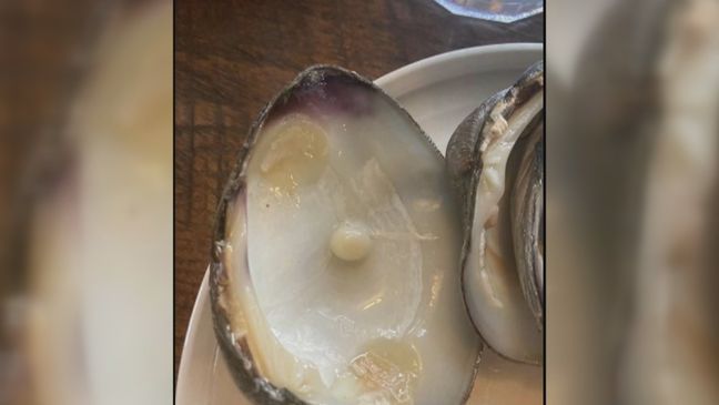 Pearl found inside of a clam at The Bridge and Raw Bar in Westerly, R.I. (Photo courtesy of Sandra Sikorski)