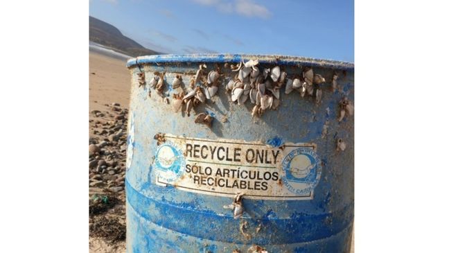 Barrel from Myrtle Beach makes its way across the pond to Ireland (Credit: Myrtle Beach City Government) 