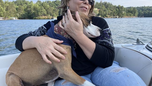 2023 - Theo got to check a big adventure off his bucket list thanks to a News 13 viewer in Old Fort -- going on a boat ride around Lake James! Theo's mom, Mars Hill animal behaviorist Trish McMillan, made a bucket list for him after discovering he had cancer. One by one, community members have been coming forward, helping the pup out. (Photo credit: WLOS Staff)