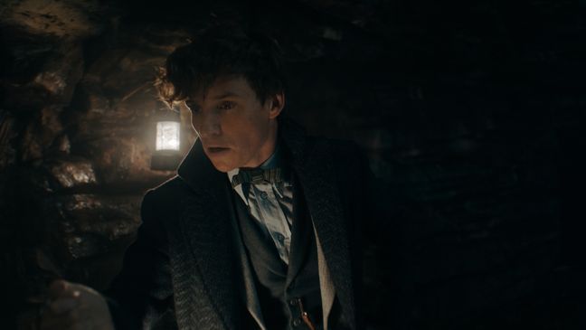 EDDIE REDMAYNE as Newt Scamander in Warner Bros. Pictures' fantasy adventure "FANTASTIC BEASTS: THE SECRETS OF DUMBLEDORE,” a Warner Bros. Pictures release.{&nbsp;} © 2022 Warner Bros. Ent. All Rights Reserved. Wizarding World™ Publishing Rights © J.K. Rowling WIZARDING WORLD and all related characters and elements are trademarks of and © Warner Bros. Entertainment Inc.