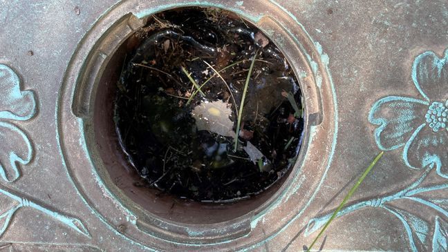 Bronze vases vanishing from gravesites at historic Maryland cemetery (WJLA)