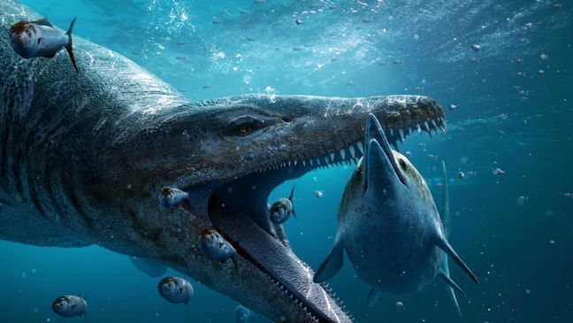 Pliosaur (giant sea monster)  about to attack ichthyosaur in ocean, with jaws open, with small fish swimming close by (Credit: BBC Studios){&nbsp;}