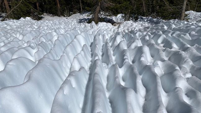 Sun cups at Gaylor Lake in Yosemite National Park on June 25, 2023. (Courtesy: Beth Pratt)