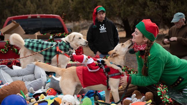 {p}Roughly three dozen sanctuary dogs woke up to a sleigh of toys this Christmas thanks to a tradition almost four decades old. Dec. 25, 2021. (Photo: Courtesy of{&nbsp;}Best Friends Animal Society){/p}