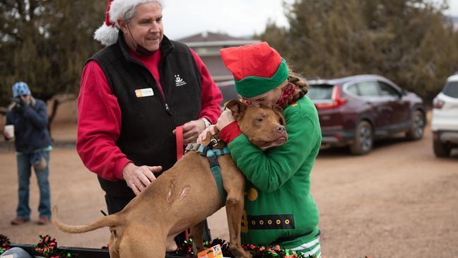 Roughly three dozen sanctuary dogs woke up to a sleigh of toys this Christmas thanks to a tradition almost four decades old. Dec. 25, 2021. (Photo: Courtesy of Best Friends Animal Society)