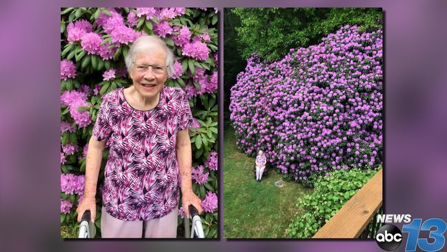 2022 - Donna Bohanan says her mother Gloria Stenger turns 100 years old on Sept. 4, 2023. She shared a photo of her mother in 2019 in front of her rhododendrons in the Balsam area community, showing just how large they had grown in the almost 50 years since they were planted. Donna says her mother was thrilled by how many people liked seeing the photo. (Credit: Donna Bohanan)