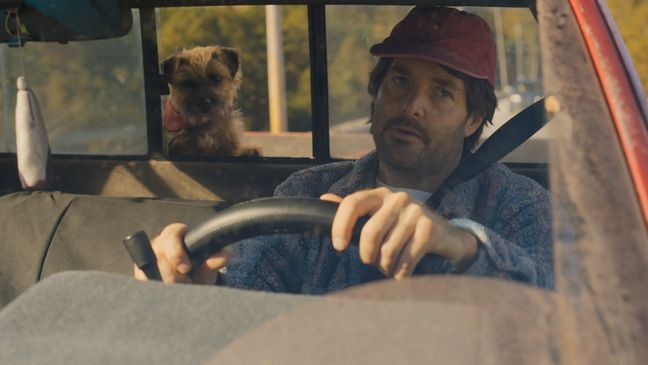 (from left) Reggie (Will Ferrell) and Doug (Will Forte) in Strays, directed by Josh Greenbaum. (Photo: Universal Pictures)