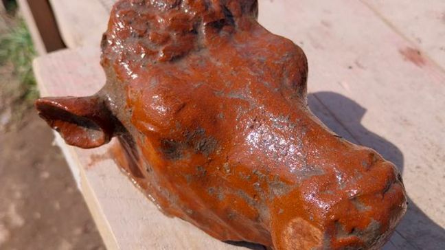 This undated photo shows a terracotta bull head found in a newly discovered sanctuary, which dates from the 5th century B.C., that was first identified in 2019 along the ancient city walls of Paestum, Southern Italy. The excavations of the sanctuary in the ancient city of Paestum have unearthed seven terracotta bull heads and a figurine of Eros riding a dolphin that shines new light on the religious life and rituals of the ancient Greek city, culture ministry officials said Saturday, April 15, 2023. (Paestum Velia Archeological Park via AP)