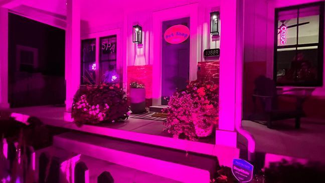 GALLERY: Utah residents transform neighborhood into Barbieland for Halloween (KUTV)