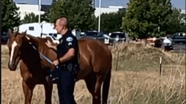 A Brigham City police officer wrangles a horse causing traffic problems. (Brigham City Police Dept./Facebook)