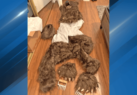 Image for story: California men use bear costume to pull off bizarre insurance fraud plot