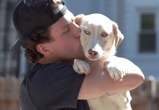 Image for story: D.C. dog rescuer: How an animal lover is saving dozens of dogs from kill shelters 