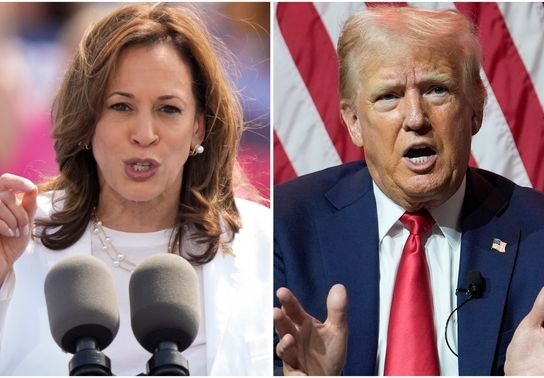 Image for story: Harris and Trump pitch closing arguments to undecided voters