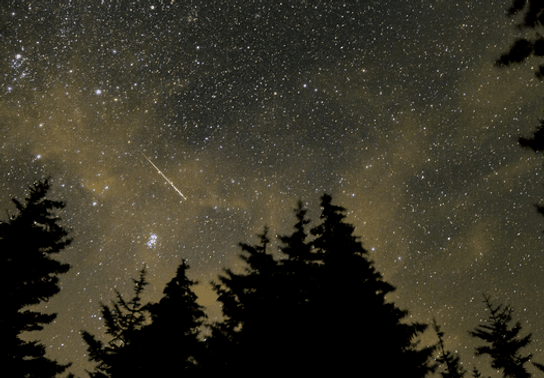 Image for story: Stargazers advised to seek dark skies for optimal meteor shower viewing