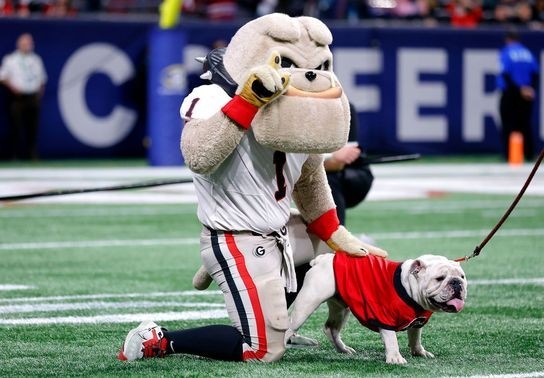 Image for story: The craziest college football mascot origin stories from around the country