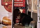 Image for story: Bear duo raids Krispy Kreme doughnut van on Alaska military base