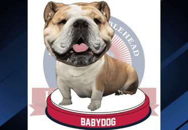 Image for story: Babydog bobbleheads unveiled after Republican National Convention appearance