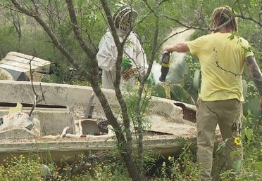 Image for story: Bee careful: Man stung over 400 times; man, hive saved