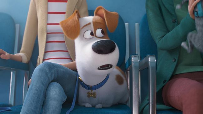 Max (Patton Oswalt) grapples with some pre-exam anxiety at the veterinarian in Illumination's "The Secret Life of Pets 2," directed by Chris Renaud. (Photo: Universal Pictures)