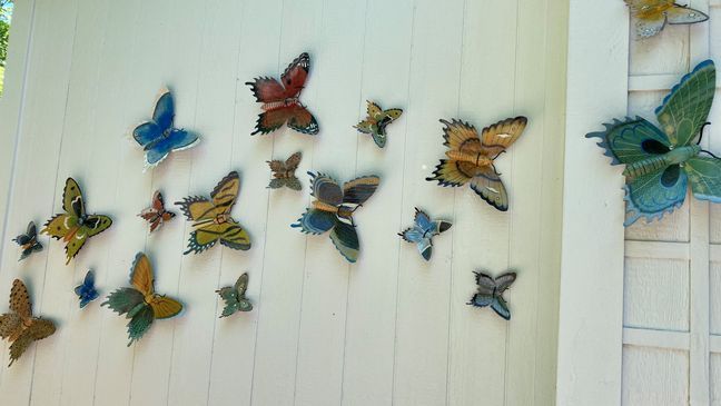 The Charlie Miller Butterfly Exhibit at Lost River Cave (Photo: WZTV)