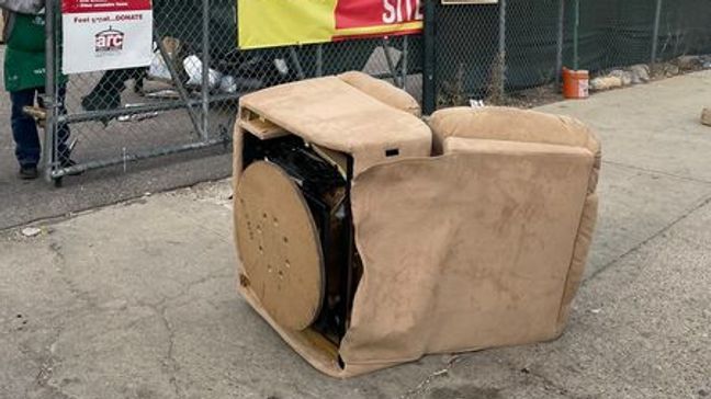 Family donates old recliner to thrift store, along with their beloved ginger cat (Courtesy: Denver Animal Shelter)