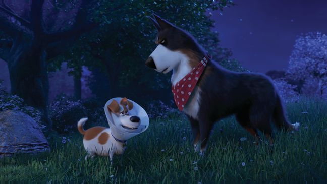 (from left) Max (Patton Oswalt) and Rooster (Harrison Ford) in Illumination's "The Secret Life of Pets 2," directed by Chris Renaud. (Photo: Universal Pictures)