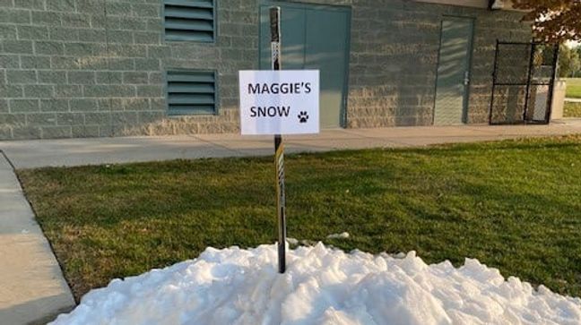 A dog who passed away from cancer was given a final moment to lay in some snow on Sept. 27, 2021. (Photo courtesy of Salt Lake County Parks & Recreation)