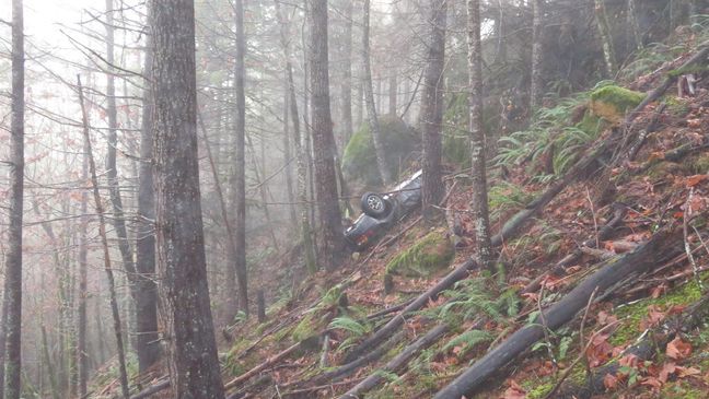 Detectives checked the wreckage the next day. Bones found on the ground nearby belonged to a deer. No human remains were found. (JCSO)