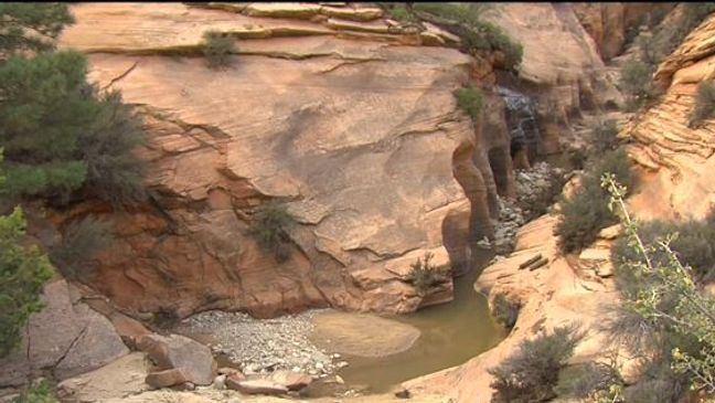 Zion National Park closes climbing cliffs to protect falcons (Photo: KUTV)