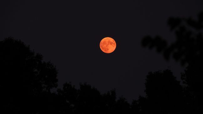 A photo of the supermoon from the Iwo Jima Memorial in Washington, D.C. (courtesy of Kevin Loftus/Chime In)