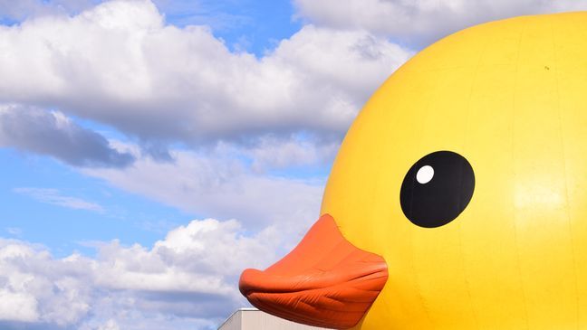 Giant rubber duck spotted in Tacoma