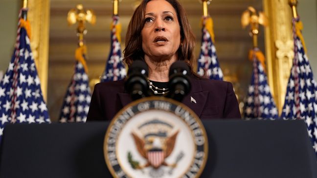 Vice President Kamala Harris speaks following a meeting with Israeli Prime Minister Benjamin Netanyahu at the Eisenhower Executive Office Building on the White House complex in Washington, Thursday, July 25, 2024. (AP Photo/Julia Nikhinson)