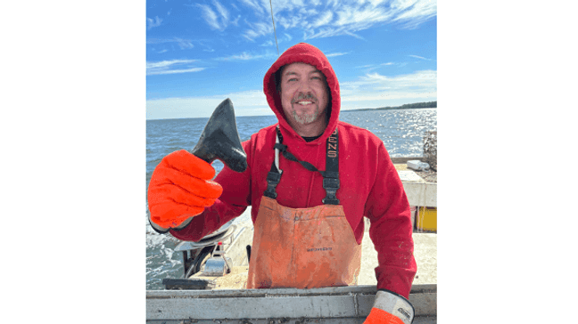 'Quite the catch!' Fisherman finds 15 million-year-old megalodon tooth in Maryland waters (Photo: Stephen and Bambi Rollins) 