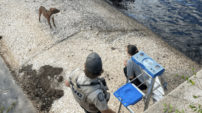 Saving the trapped dog took some time and maneuvering, Oct. 24, 2023. (Martin Co. Sheriff's Office)