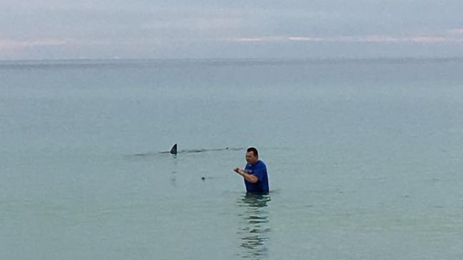 Military fishing team snags 10-foot mako shark offshore in Navarre, Fla. (Courtesy American Yakers)