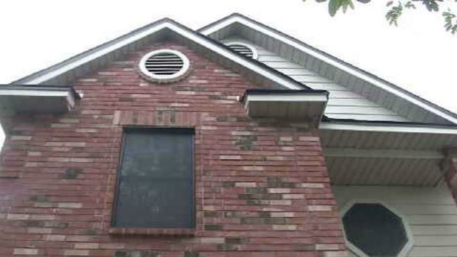 San Antonio woman discovers bat colony inside her home. (WOAI)